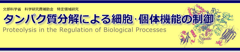 ̈挤F^pNɂזEE̋@\̐ - Proteolysis in the Regulation of Biological Processes^̈\ҁFȎȑw@@@